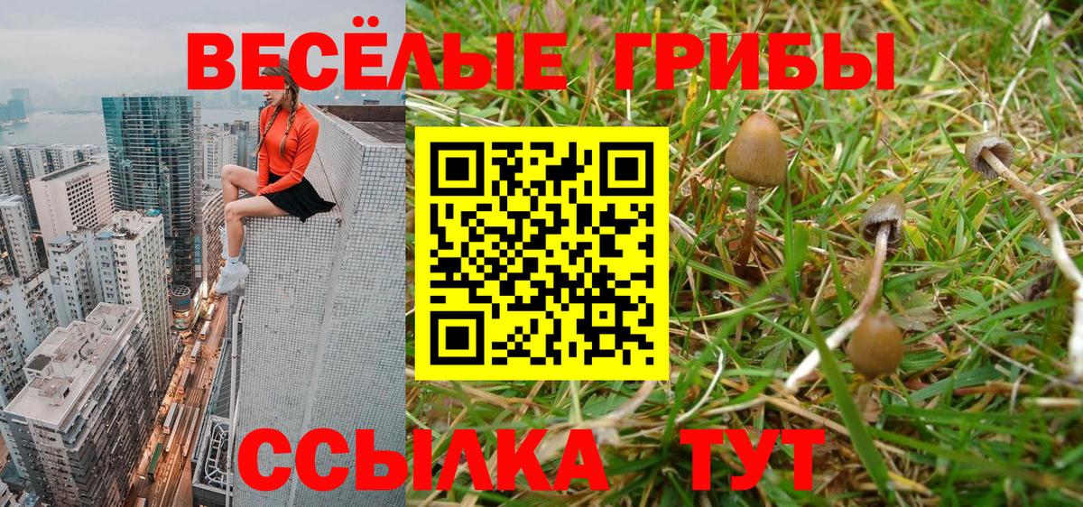 Галлюциногенные грибы Cubensis Новокузнецк
