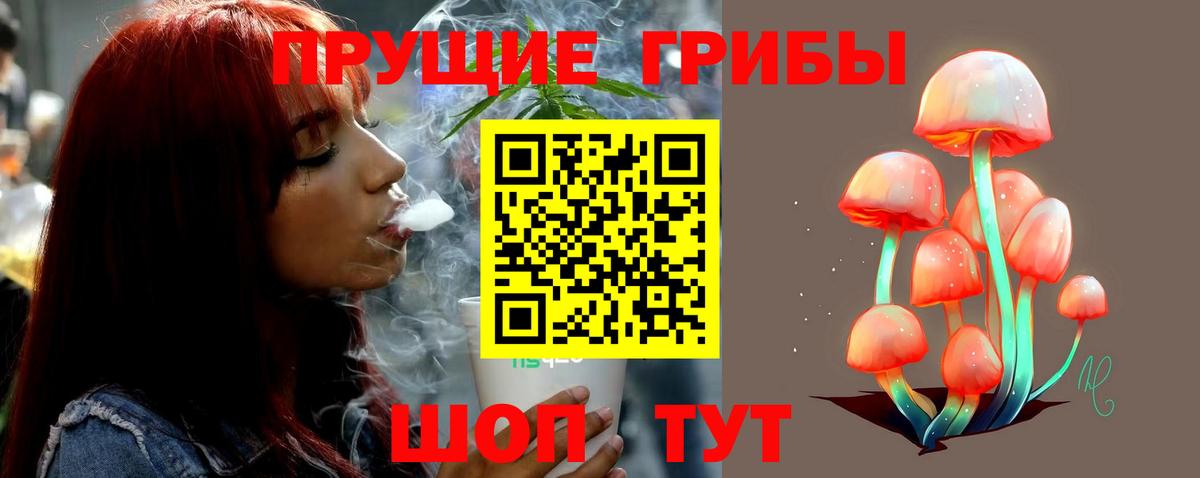 Галлюциногенные грибы MAGIC MUSHROOMS  дарнет шоп  Новокузнецк  Вход с VPN 